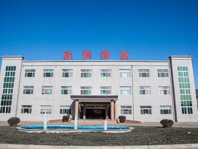 Shandong Xinhong Pharmaceutical Co., Ltd. producción de gluconato de calcio