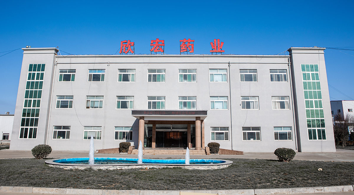 Shandong Xinhong Pharmaceutical Co., LTD